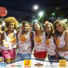 Bloco Skol Folia